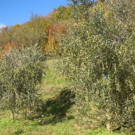 Agritur Val D'egoi Apartament *